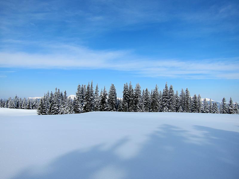 Winterlandschaft